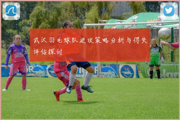 武汉羽毛球队进攻策略分析与得失评估探讨